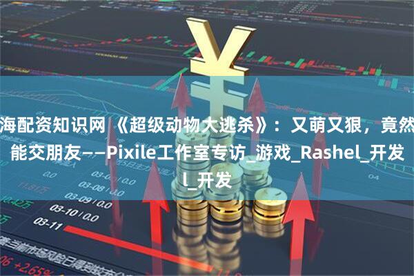 上海配资知识网 《超级动物大逃杀》：又萌又狠，竟然还能交朋友——Pixile工作室专访_游戏_Rashel_开发