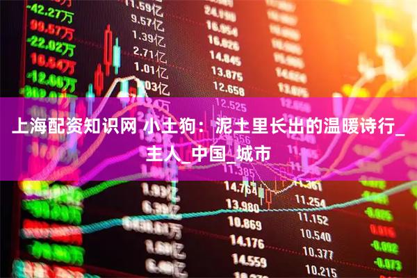 上海配资知识网 小土狗：泥土里长出的温暖诗行_主人_中国_城市