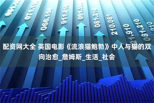 配资网大全 英国电影《流浪猫鲍勃》中人与猫的双向治愈_詹姆斯_生活_社会